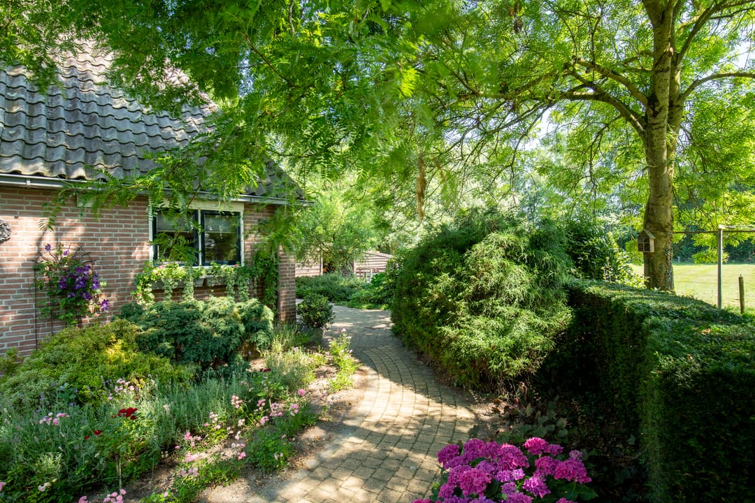 Photo 52 of Drostenbos 3