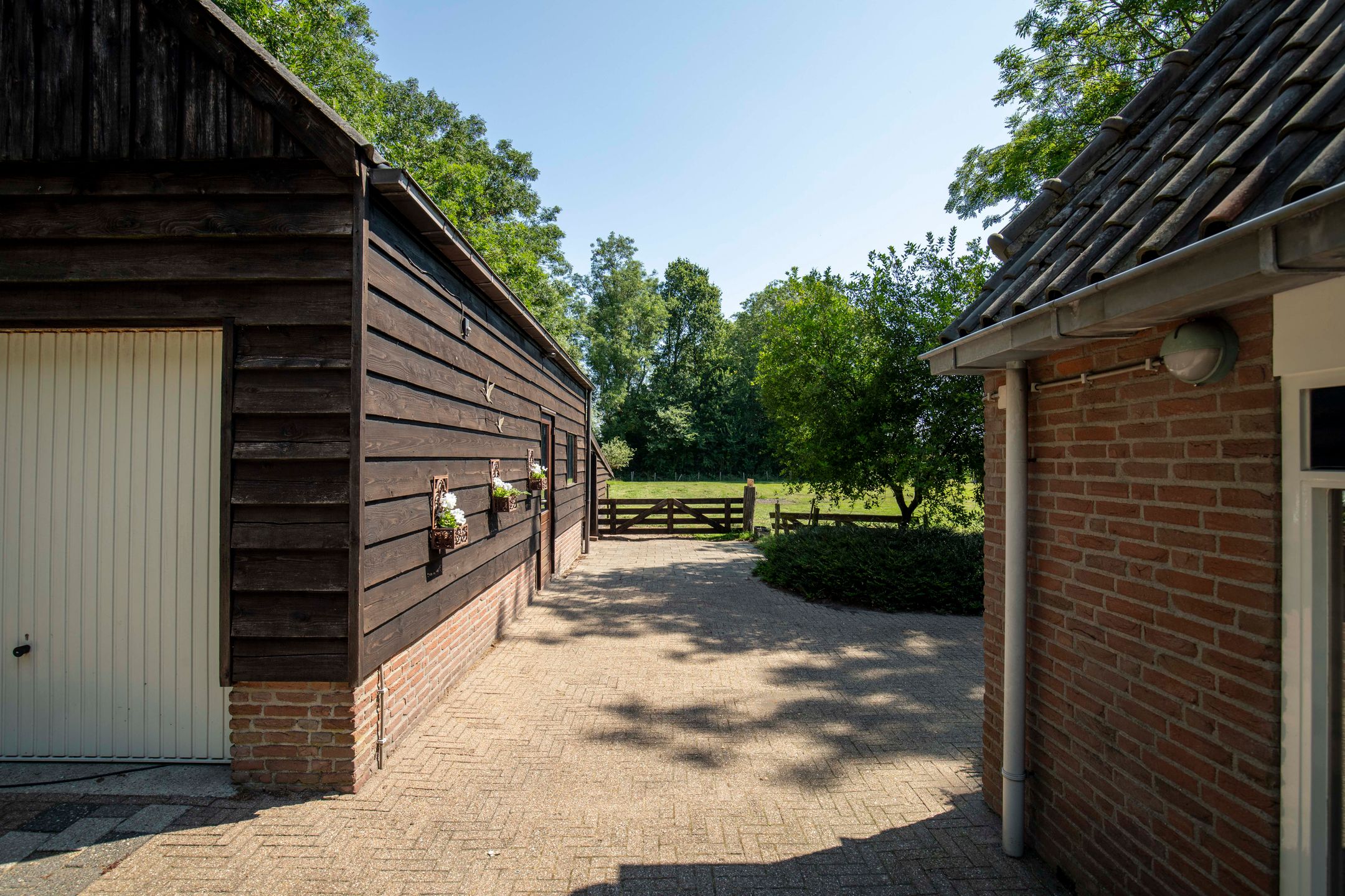 Photo 45 of Drostenbos 3