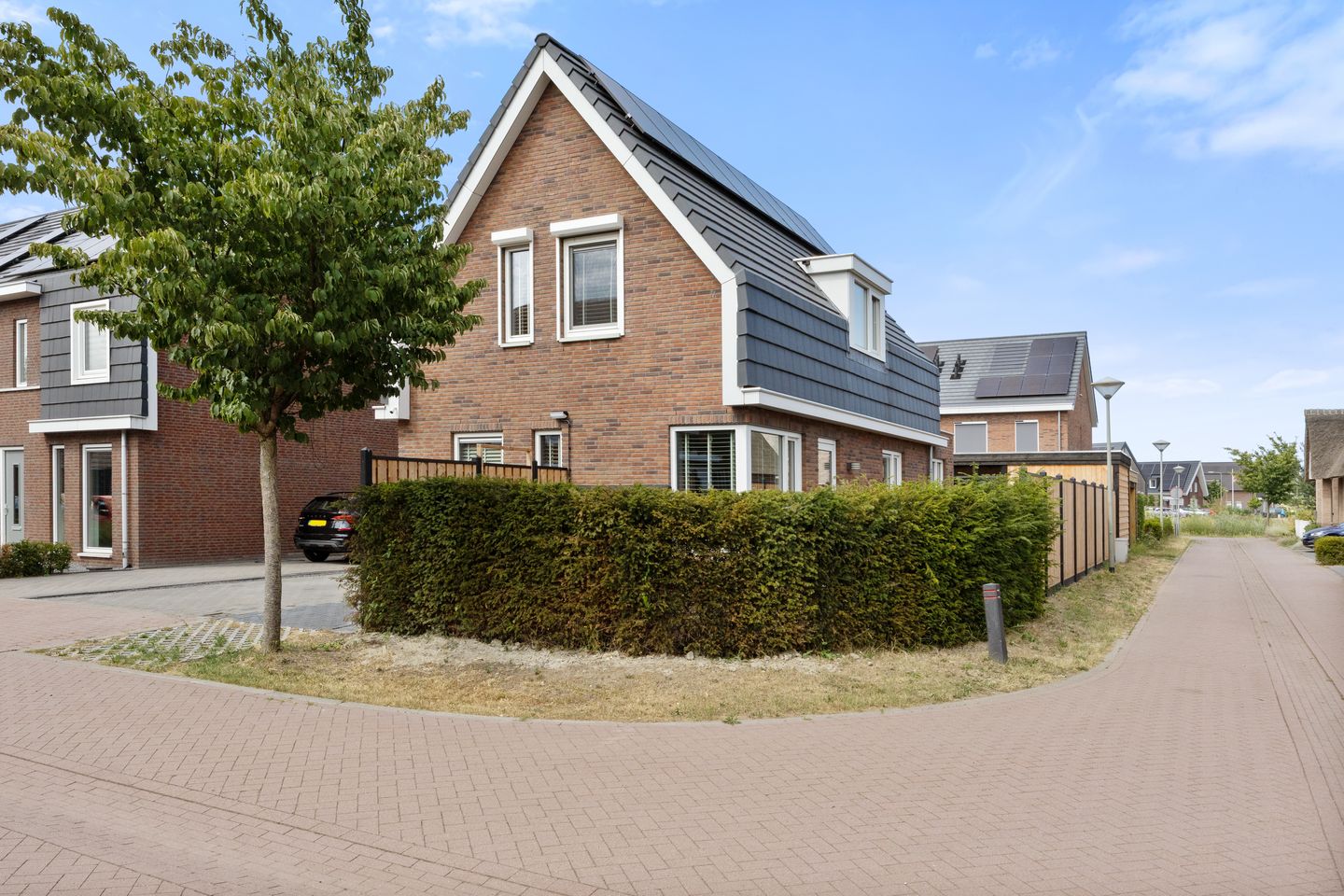 Foto 49 van Goudreinette 13