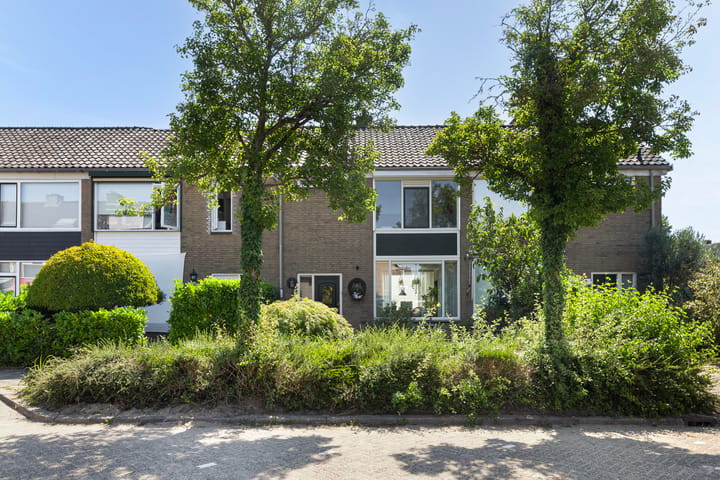 Johan de Wittstraat 60