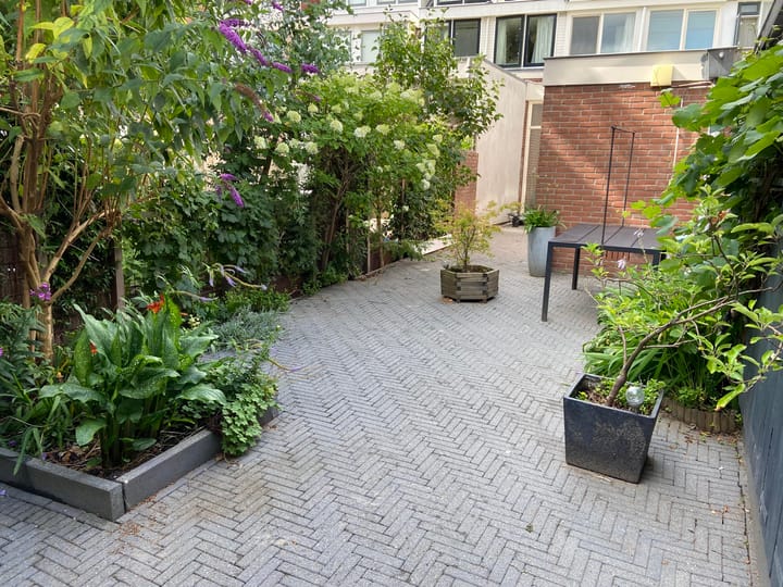 Tussenwoning te huur: Kerkweg 69, Utrecht