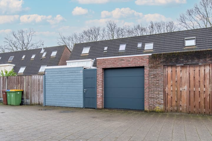 Foto 3 van Vliegezwam 96