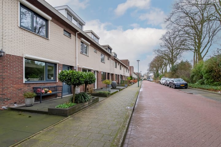 Foto 4 van Vliegezwam 96