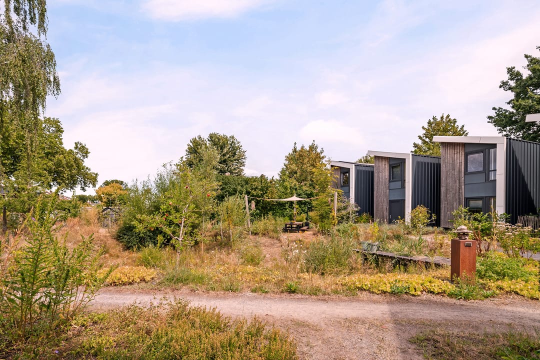 Photo 7 of De Hopman 8