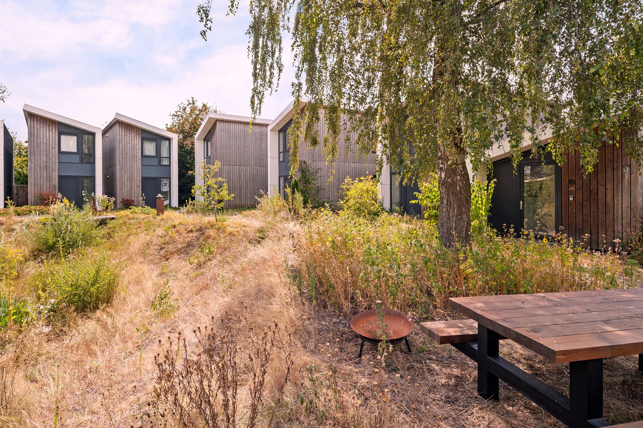 Photo 6 of De Hopman 8