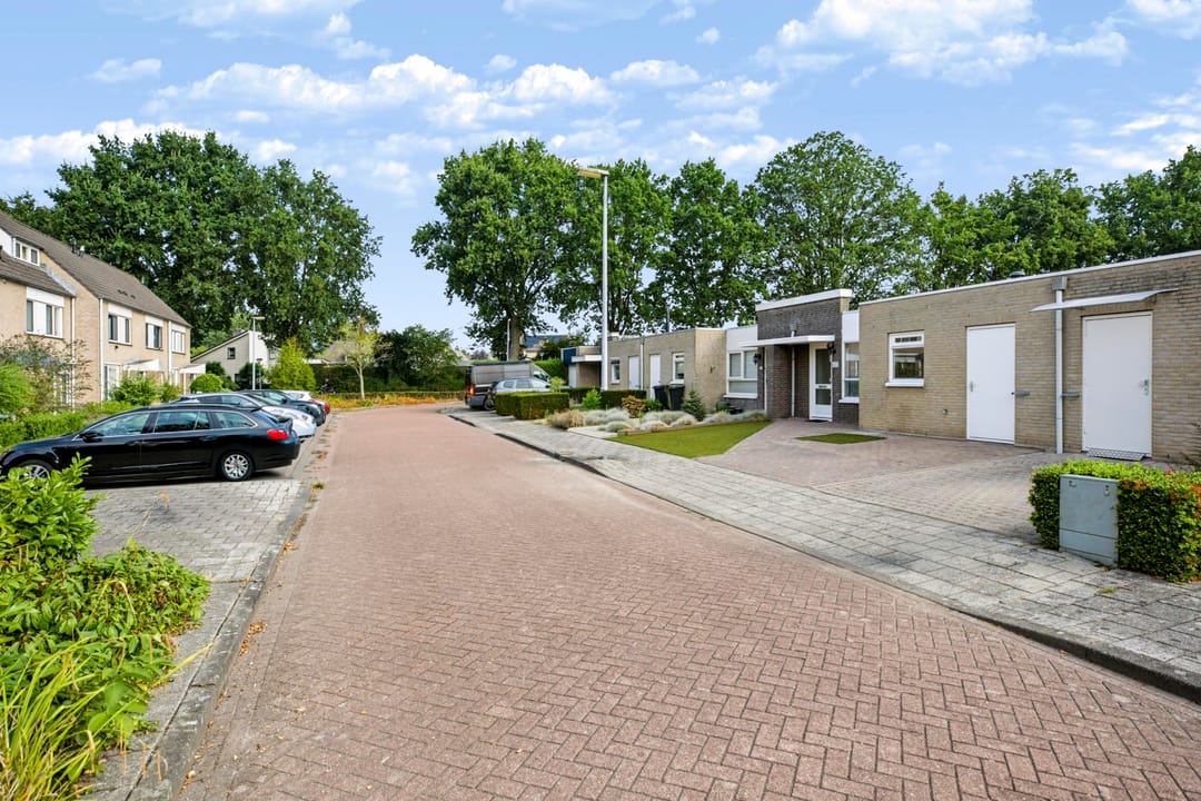 Foto 22 van Plevier 17