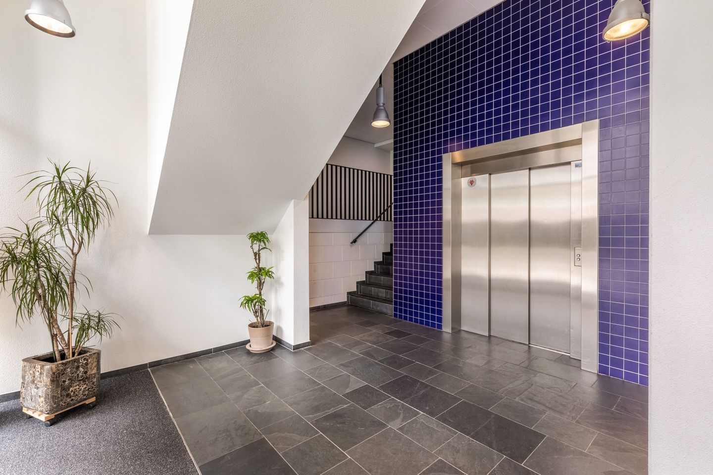 Photo 20 of Pieter Calandlaan 841
