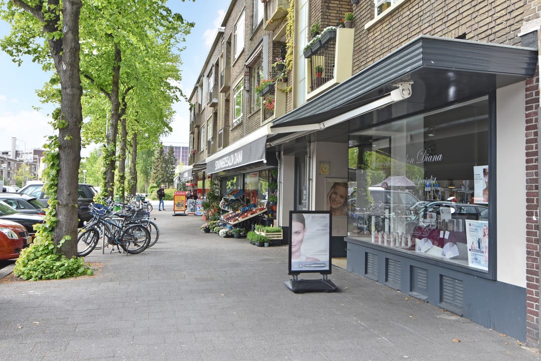 Foto 41 van Anjelierstraat 2