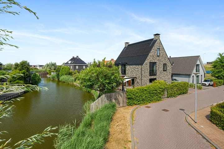 Foto 4 van Aalscholver 4