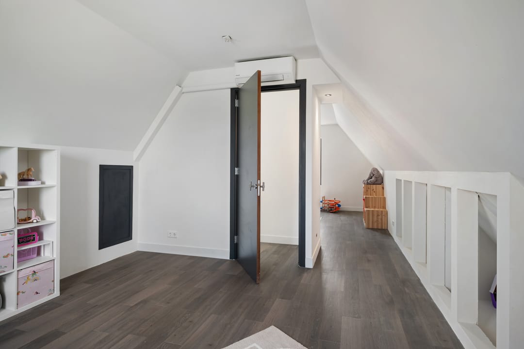 Foto 41 van Aalscholver 4