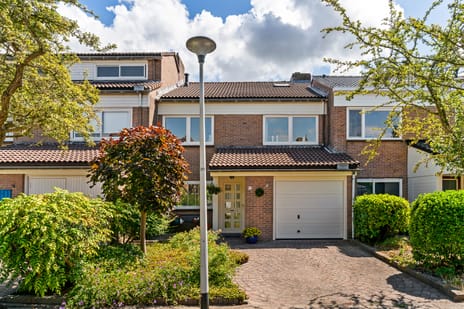 Arnoldsonstraat thumbnail