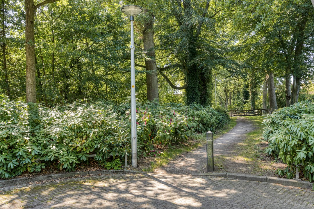Photo 31 of Haarboerhorst 34