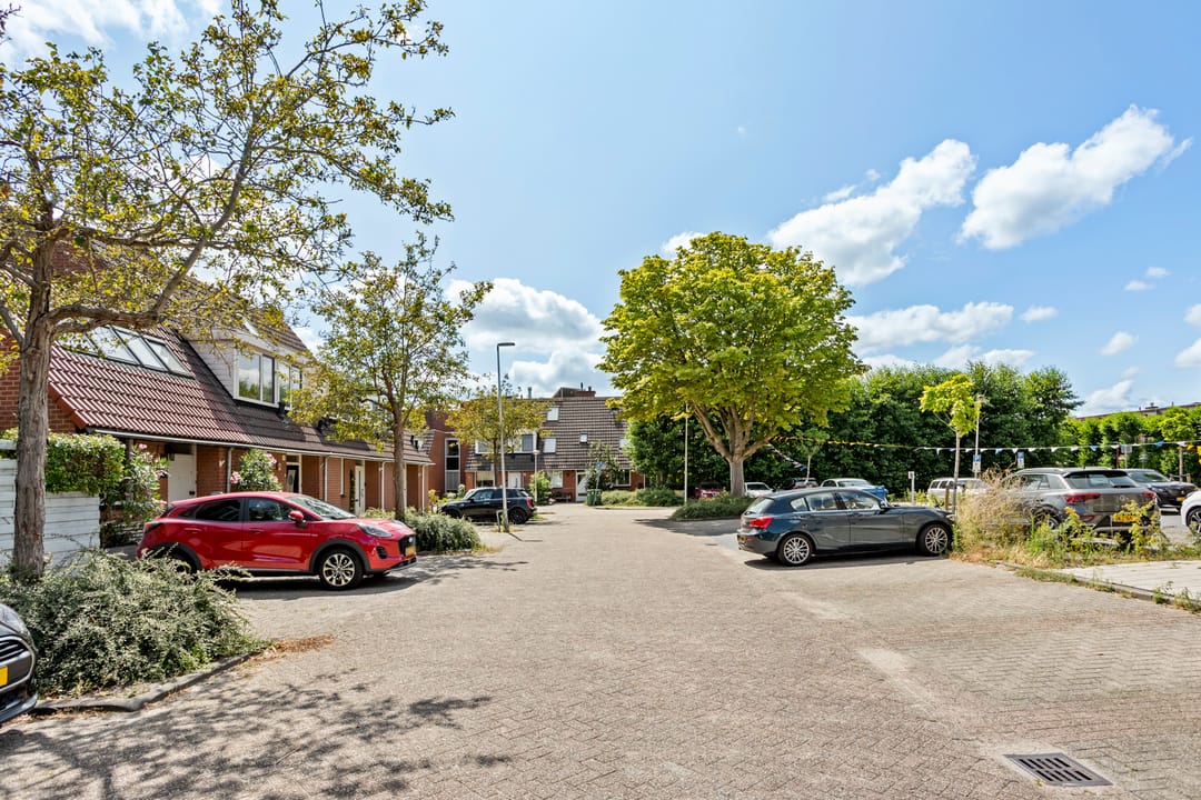 Foto 41 van Steursloot 12