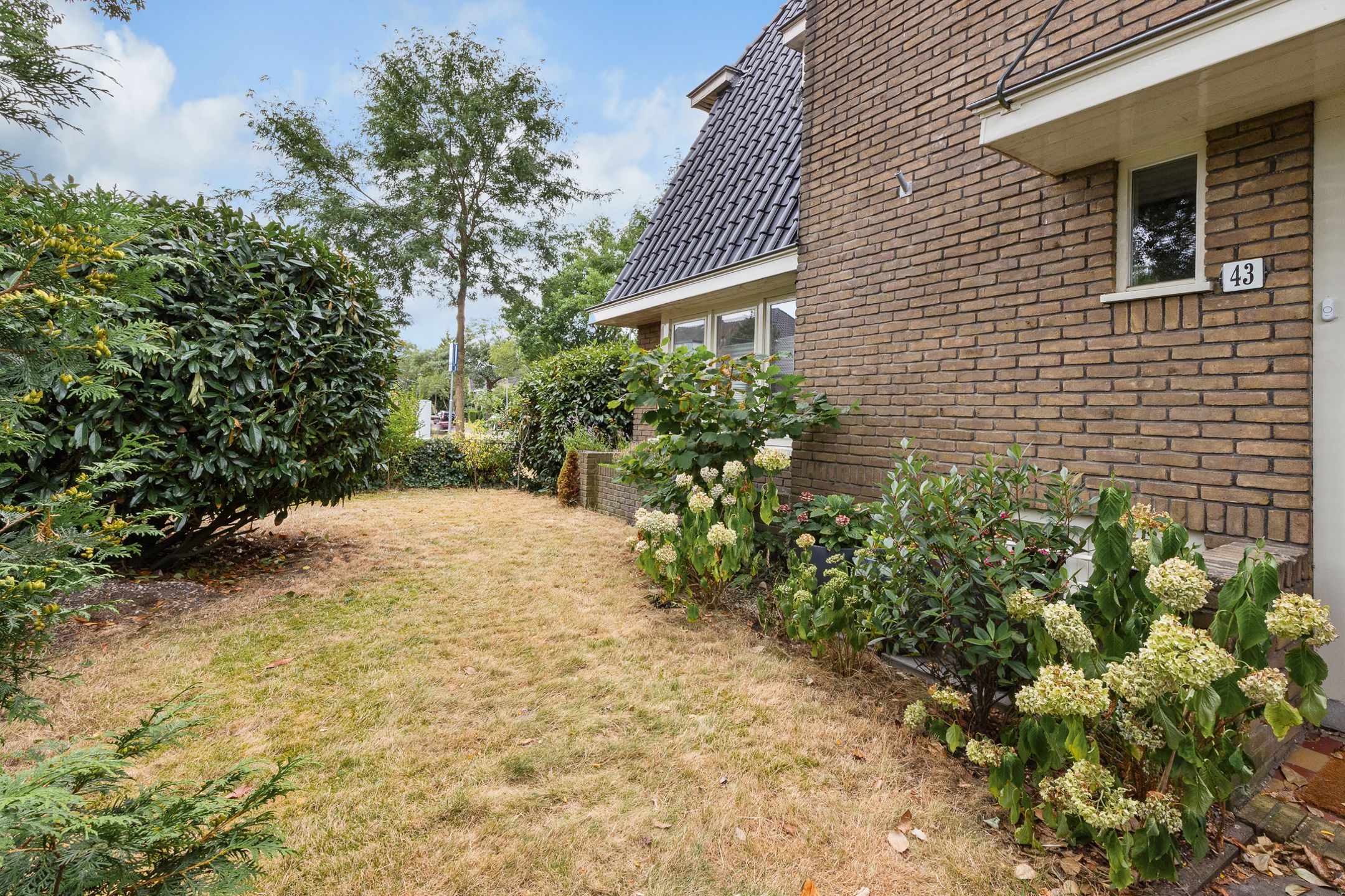 Foto 42 van Snelliuslaan 43