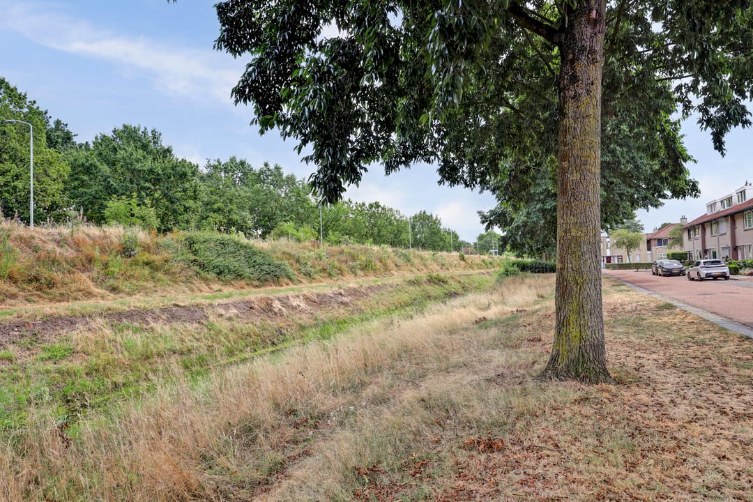 Photo 41 of Draadeind 31