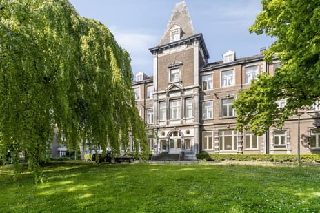 Professor Pieter Willemsstraat thumbnail