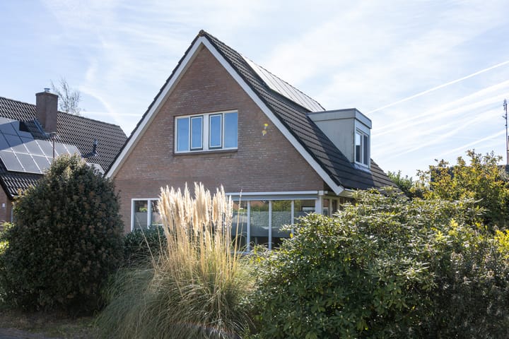 Foto 2 van de Dinkel 2