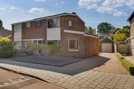 Mr. Zigher ter Steghestraat thumbnail