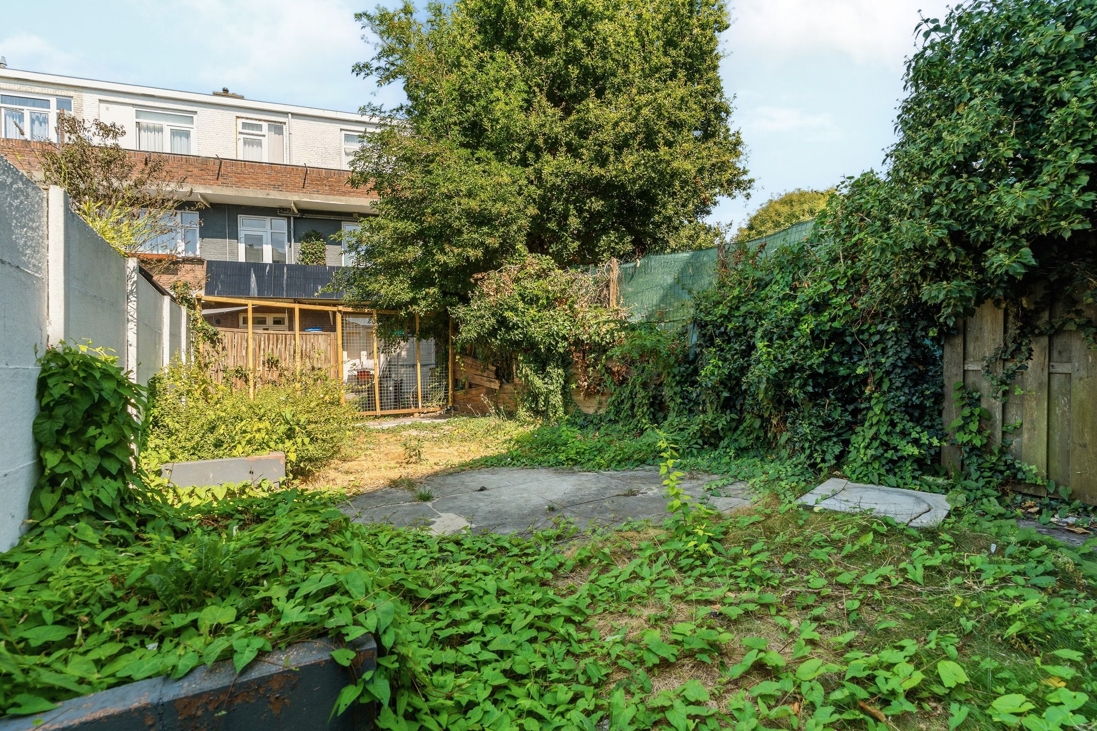 Foto 42 van Vierhoutenstraat 20