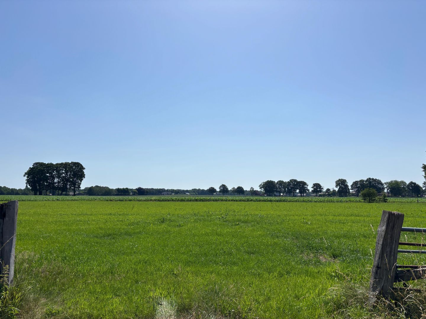 Kootwijkerbroekerweg - Kootwijkerbroek - Afbeelding 2