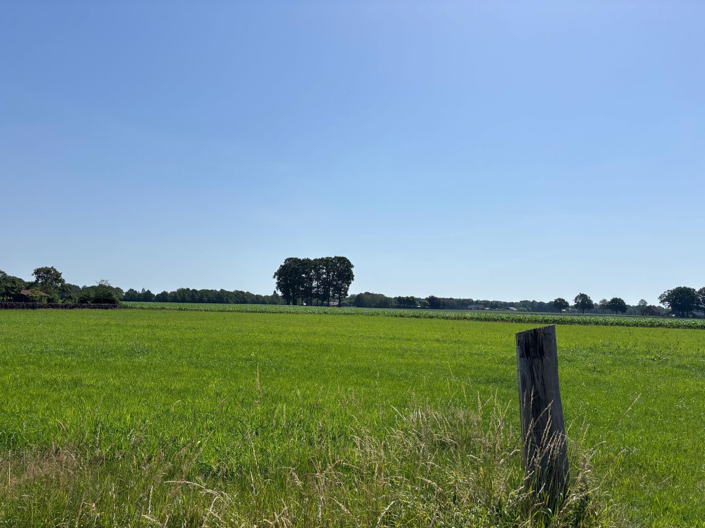 Kootwijkerbroekerweg - Kootwijkerbroek - Afbeelding 3