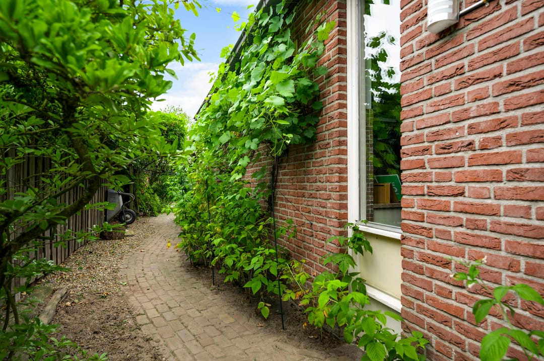 Foto 43 van van Douverenstraat 39