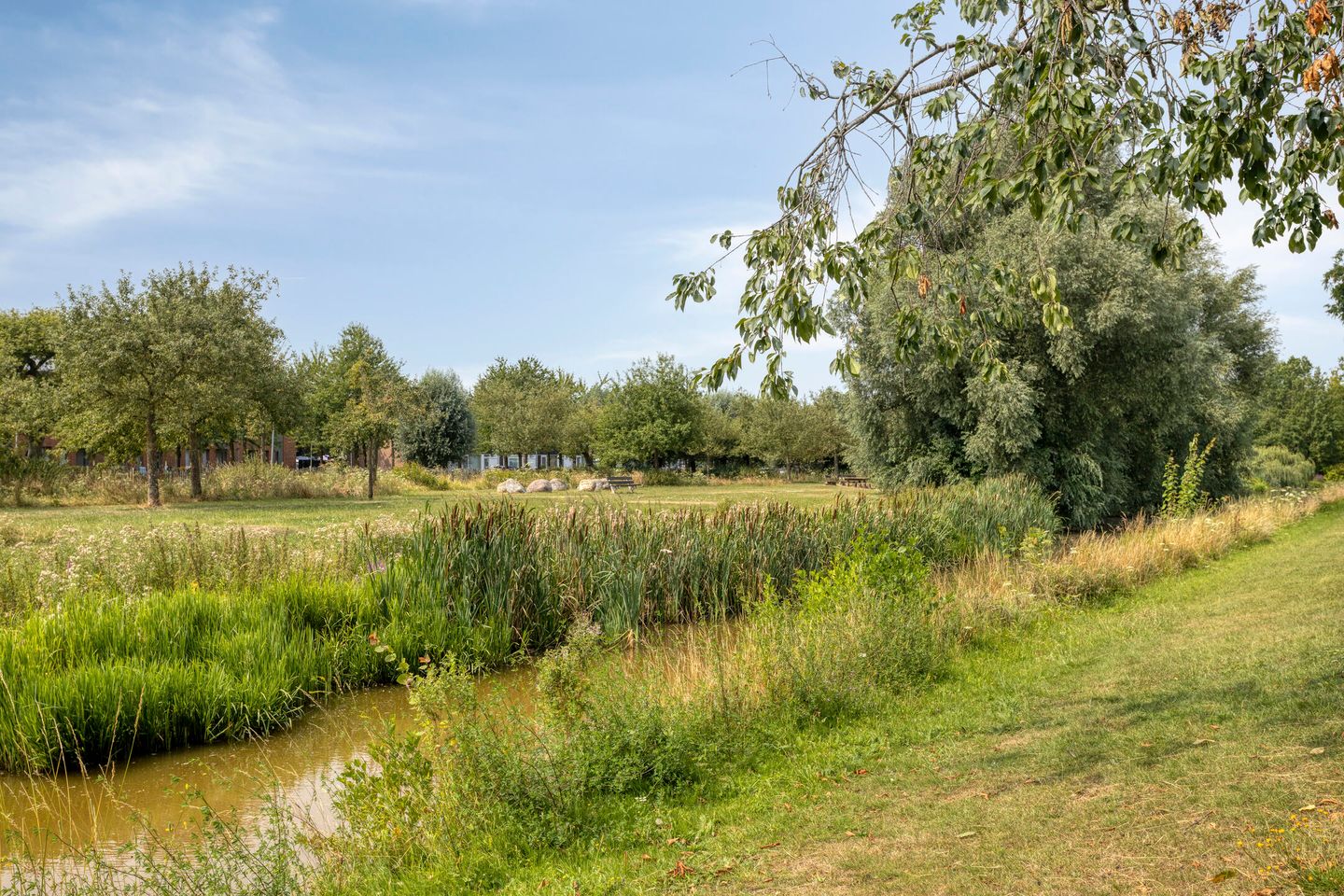 Photo 59 of Iepenlaan 47