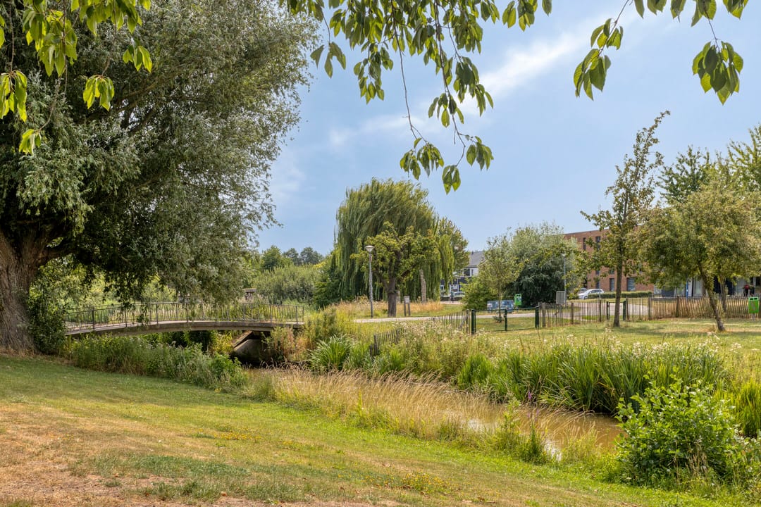 Photo 58 of Iepenlaan 47