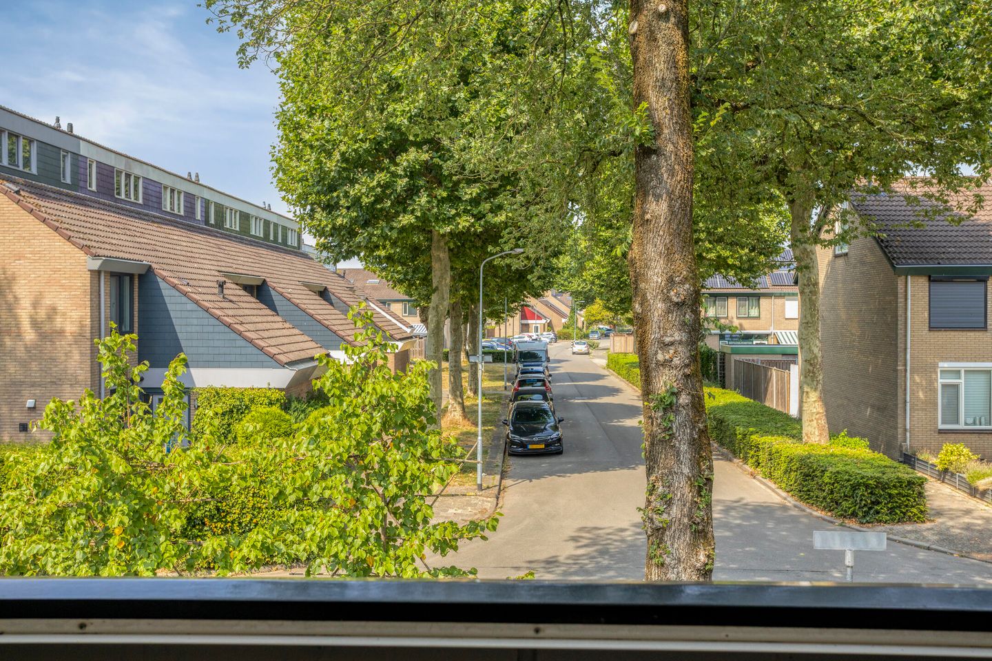 Photo 50 of Iepenlaan 47