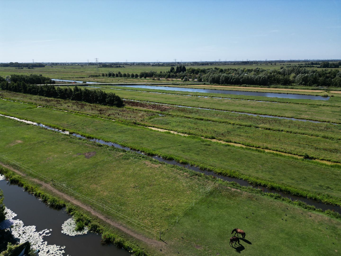 Photo 35 of Goudseweg 29