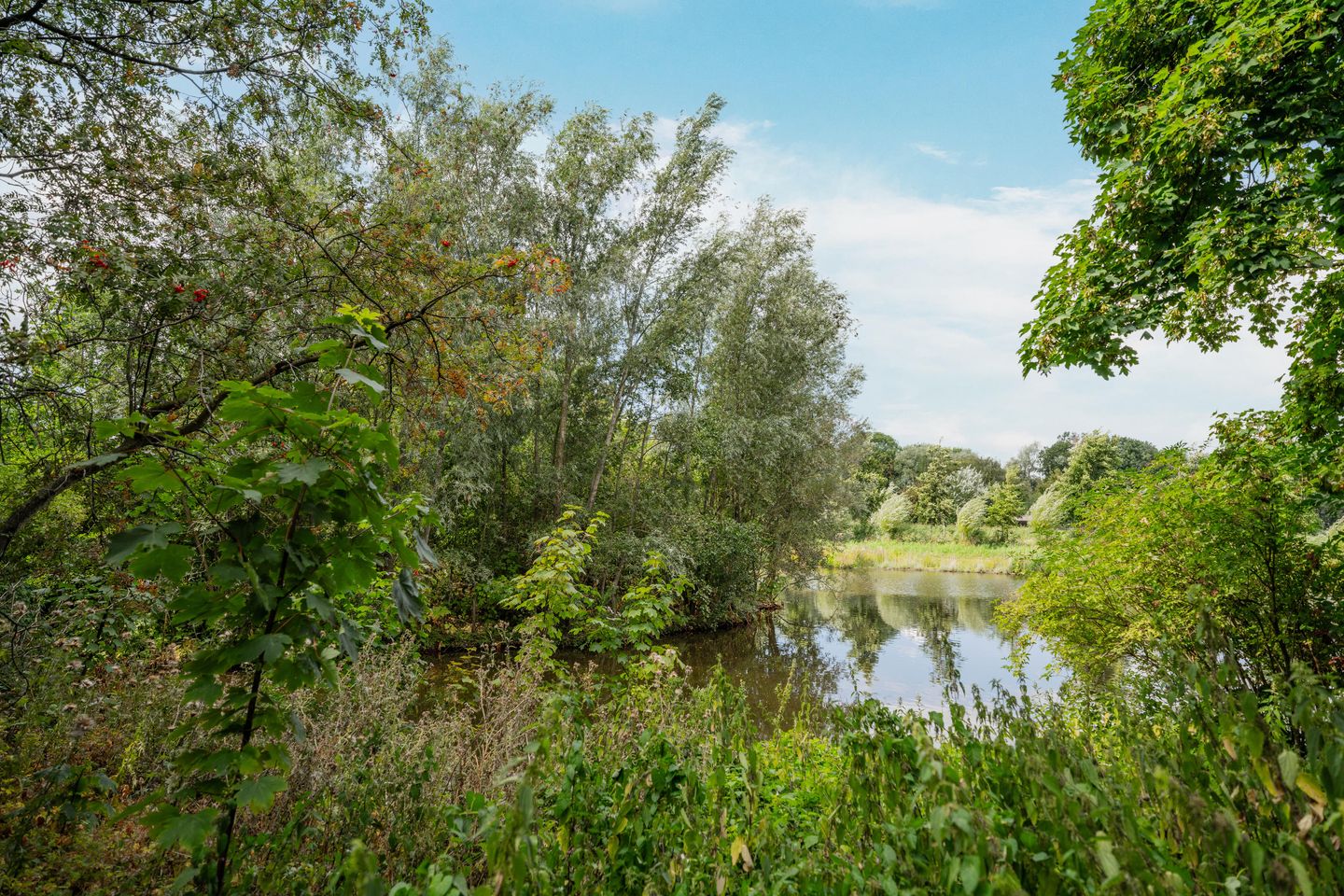 Photo 35 of Groenhoven 713