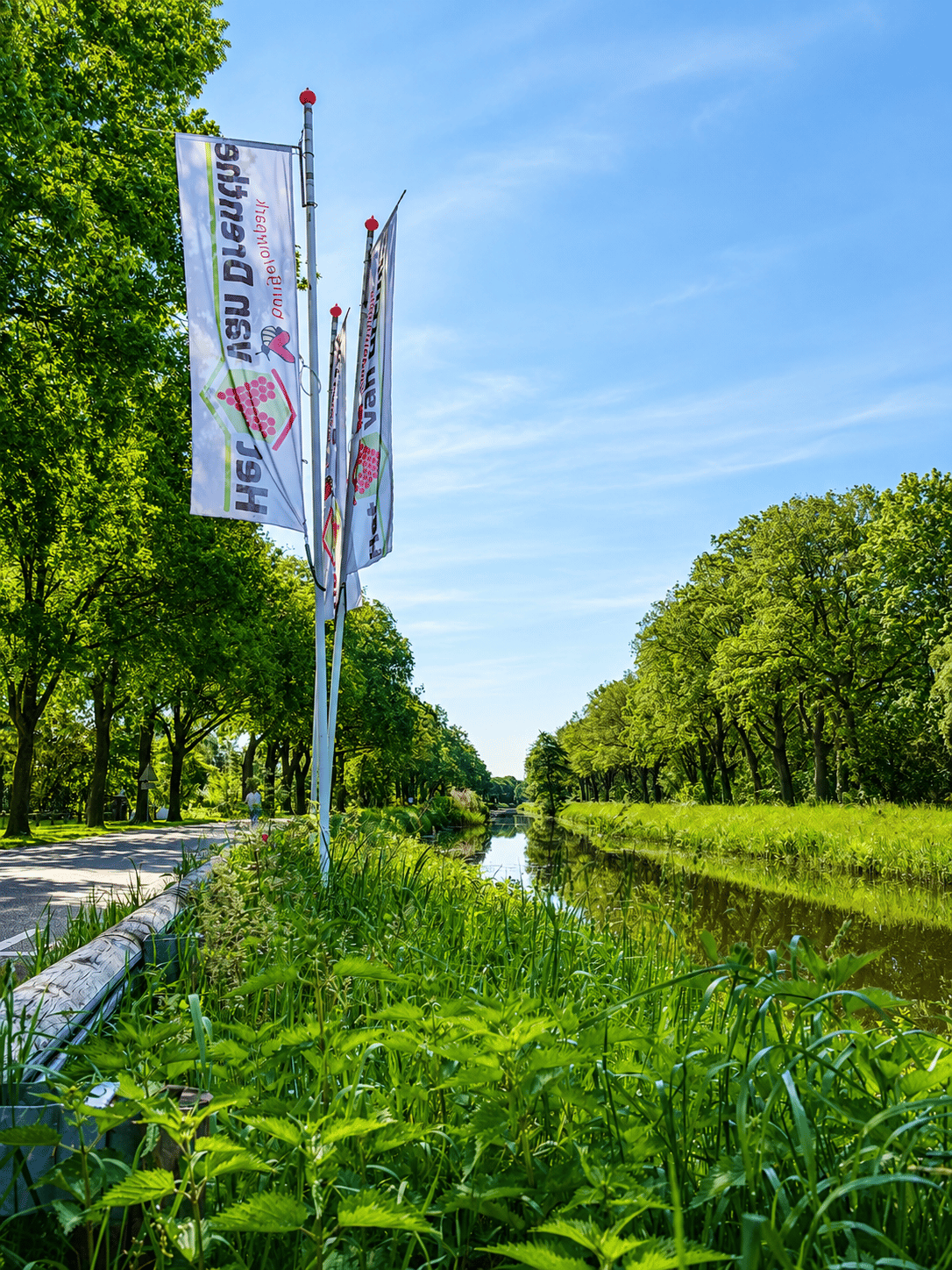 Foto 35 van Het Zwiggelterveld 153