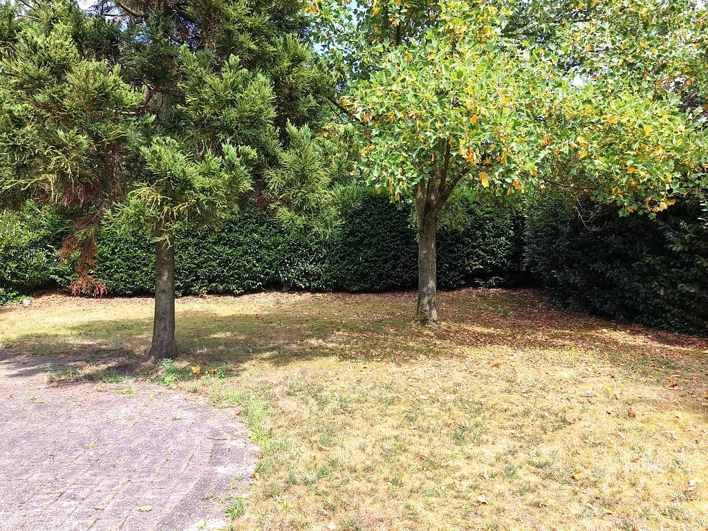 Foto 21 van Dwarsweg 3