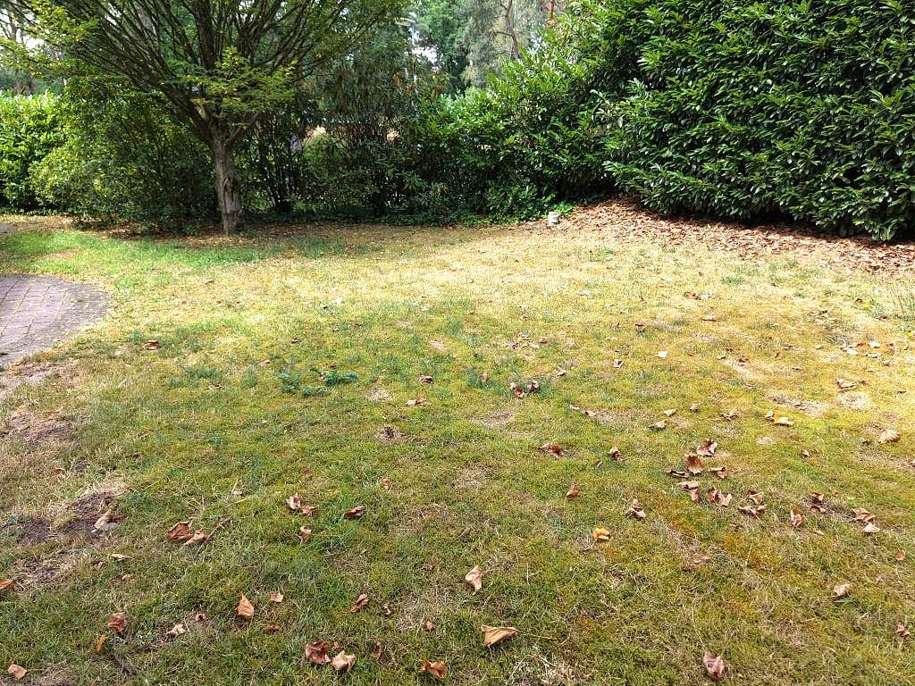 Foto 23 van Dwarsweg 3