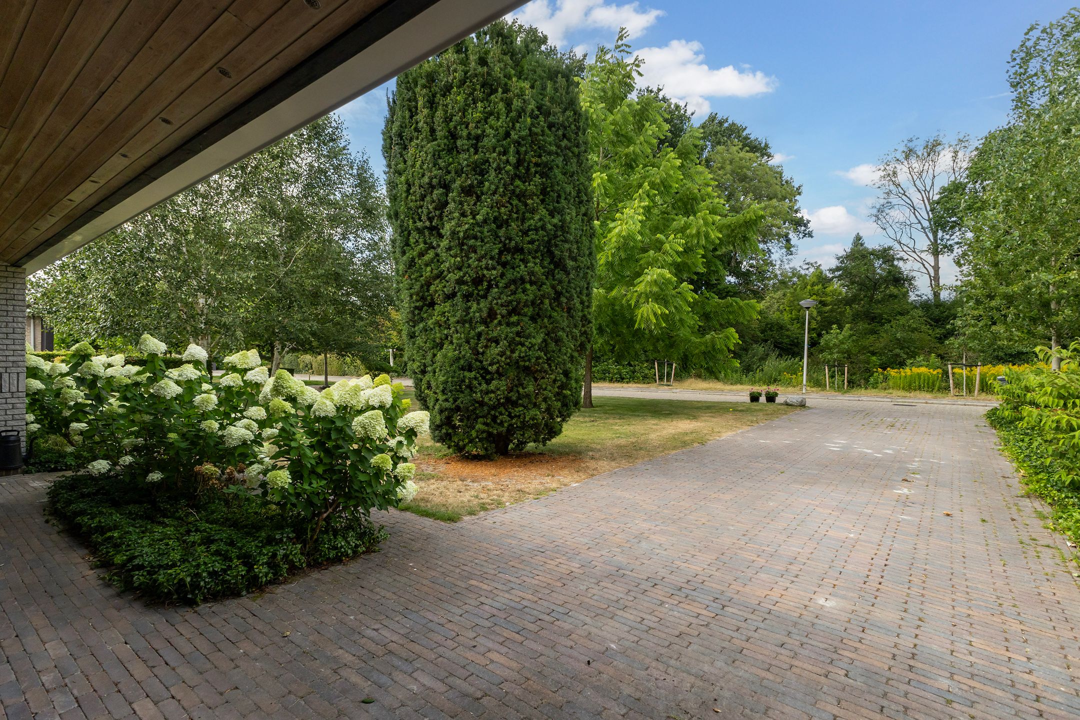 Foto 48 van Woelwijk 1-A