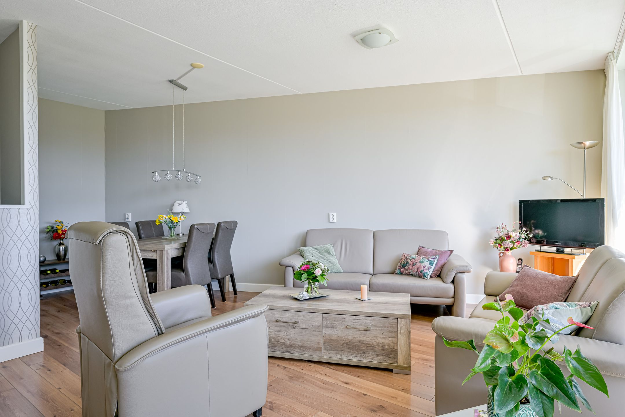 Photo 12 of Kaapstander 16