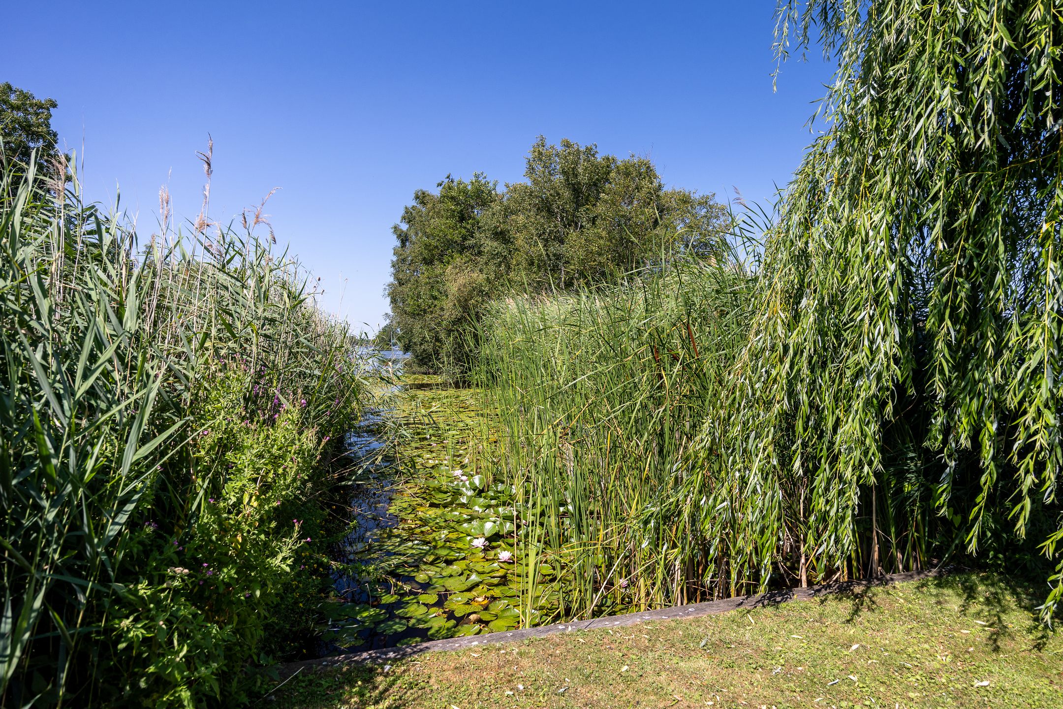 Photo 39 of De Plassen Noord 185