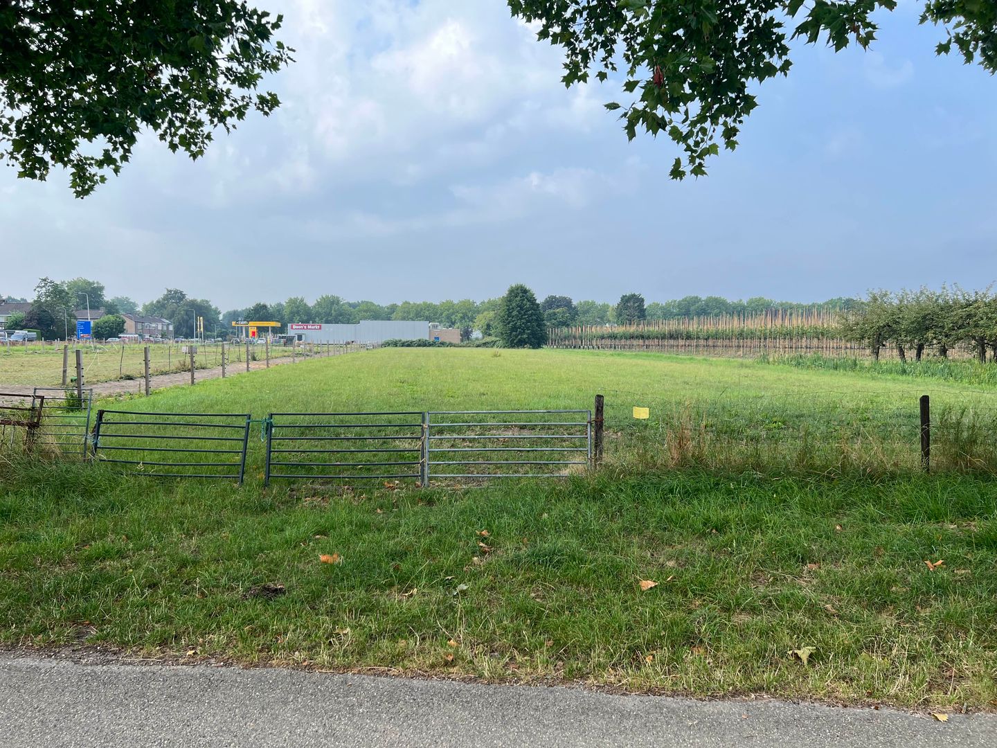 Kniphoek - Eck en Wiel - Afbeelding 2
