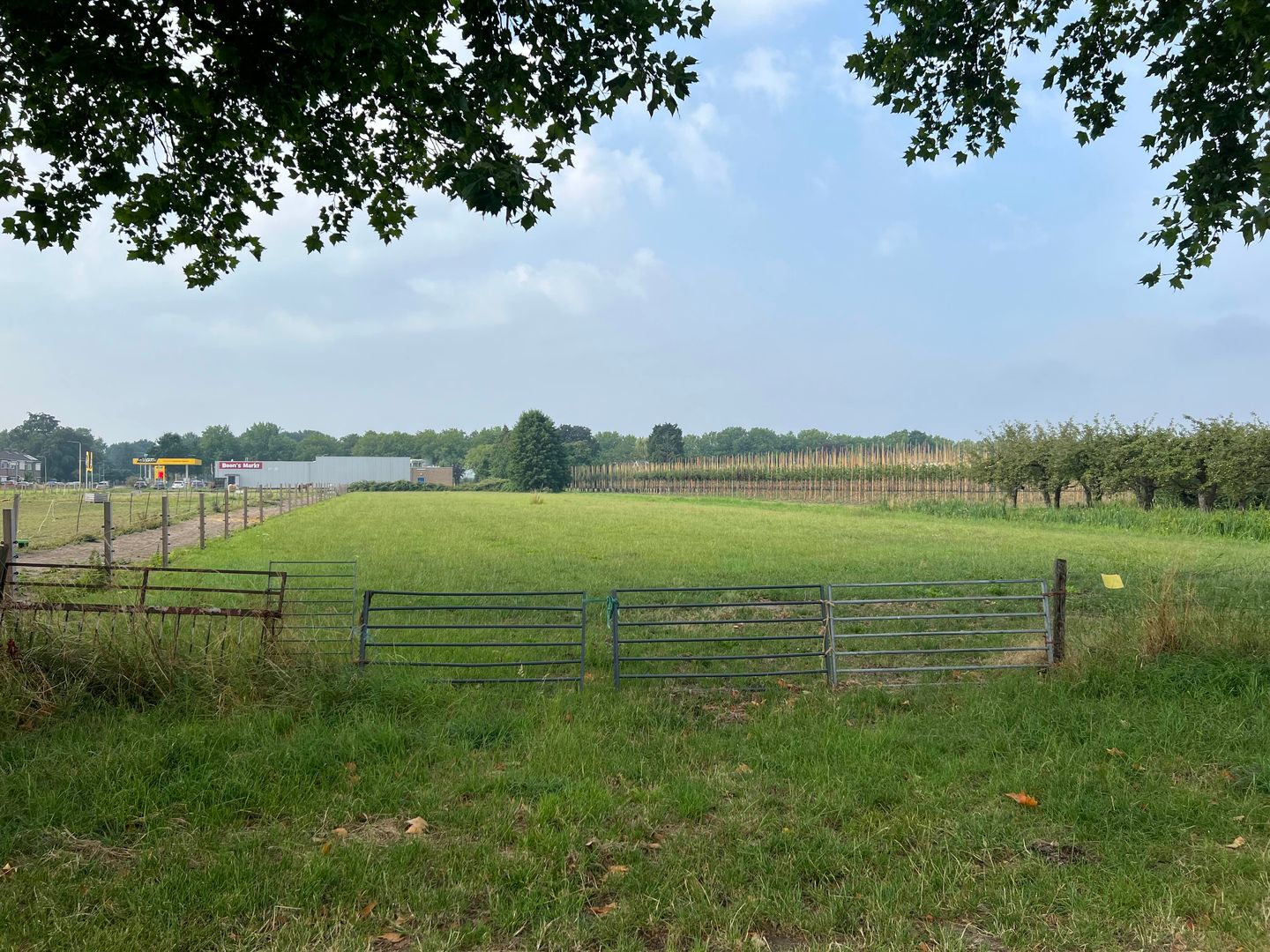 Kniphoek - Eck en Wiel - Afbeelding 5