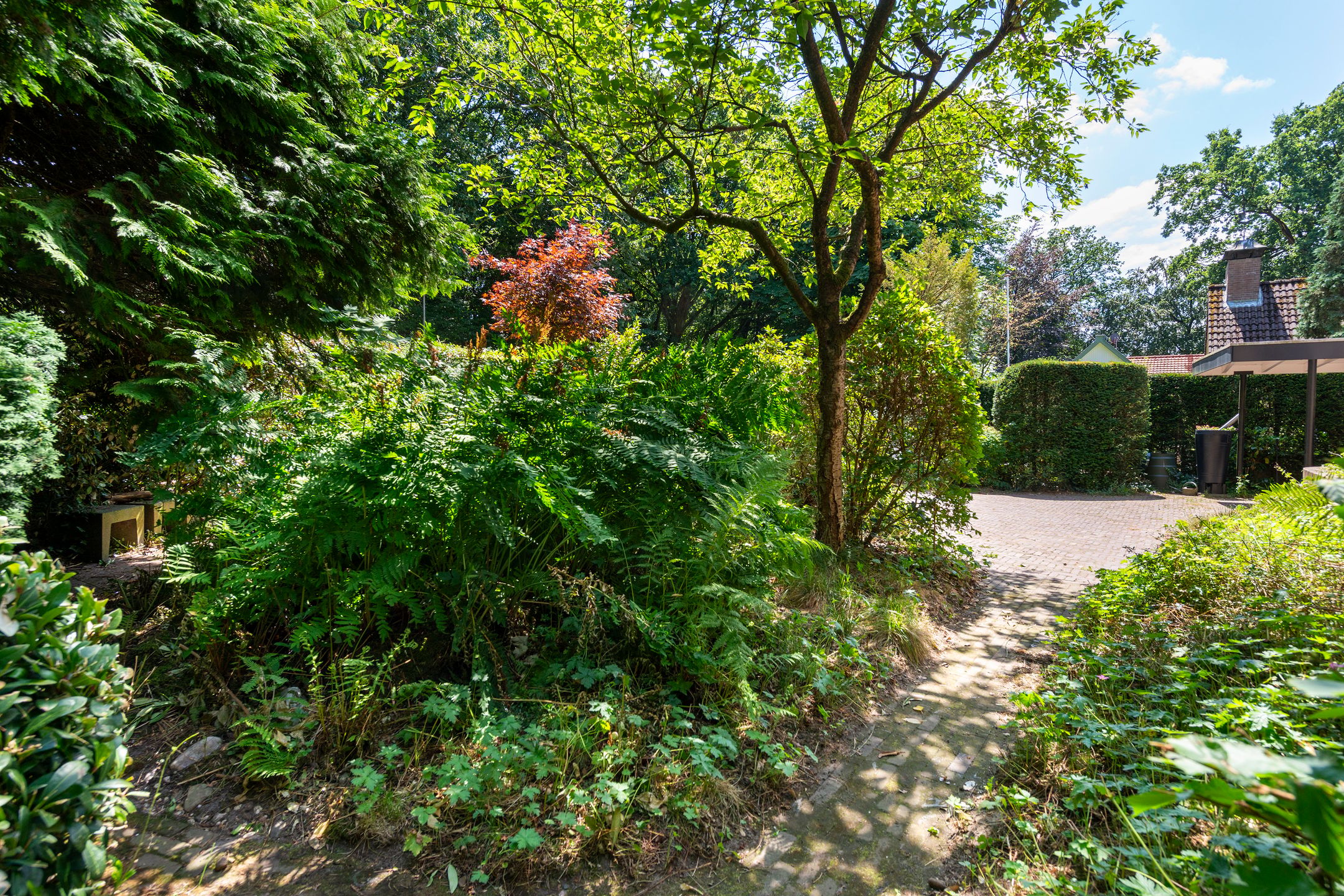 Photo 66 of Dreyenseweg 8-A