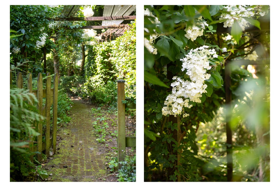 Photo 71 of Dreyenseweg 8-A