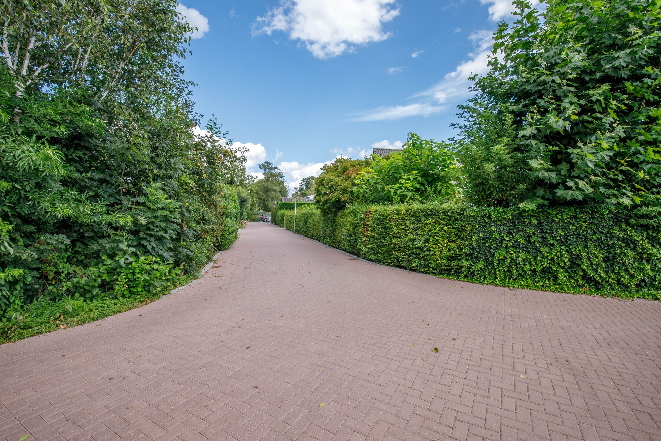 Photo 60 of Weidebloemstraat 17