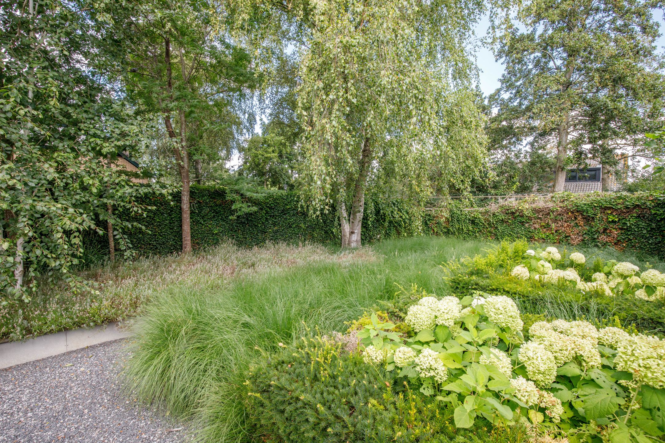 Photo 54 of Weidebloemstraat 17