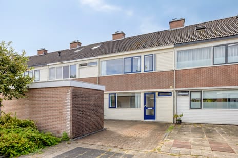 Dommelstraat thumbnail