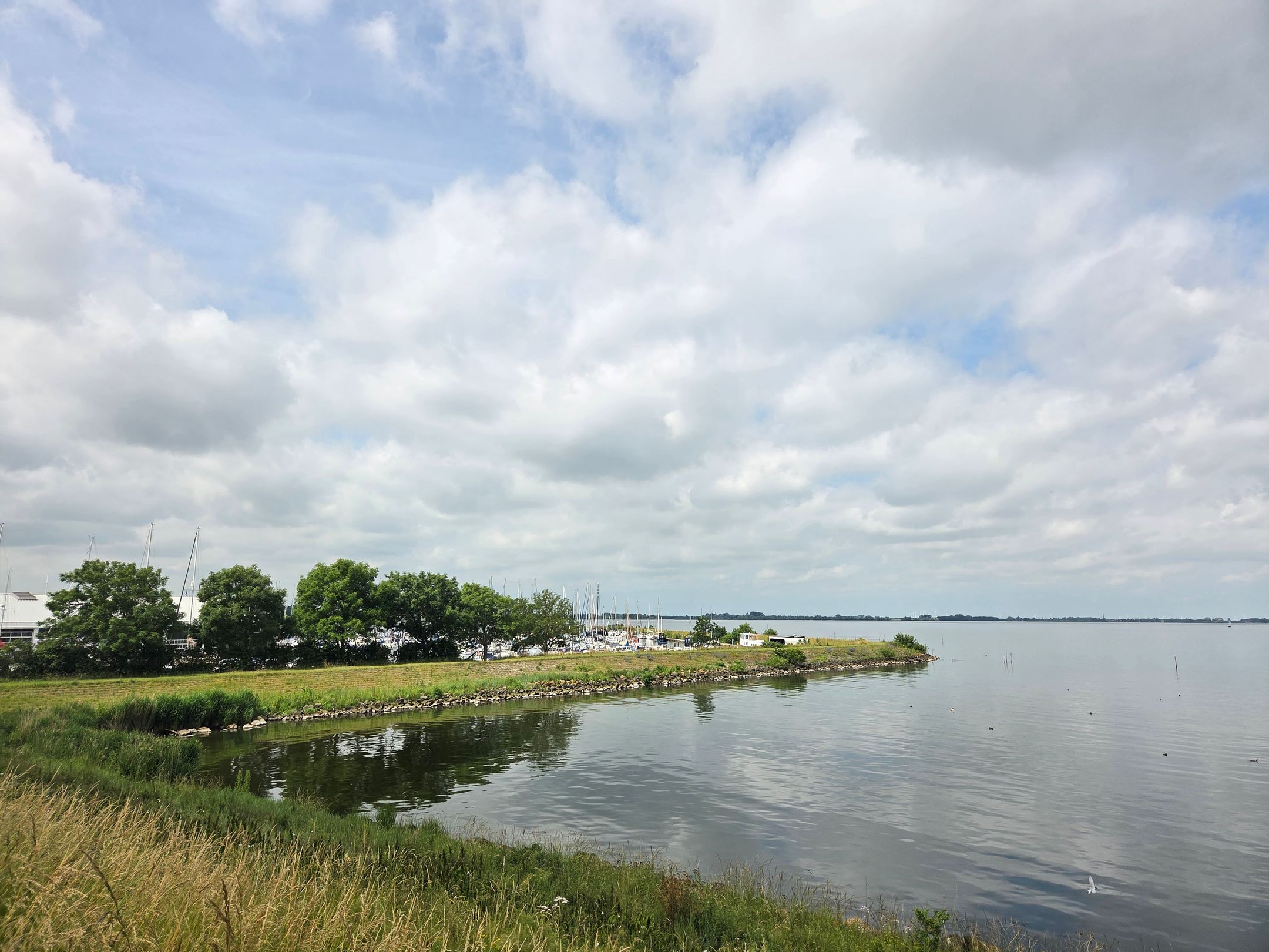 Foto 21 van Proefpolder 4-97