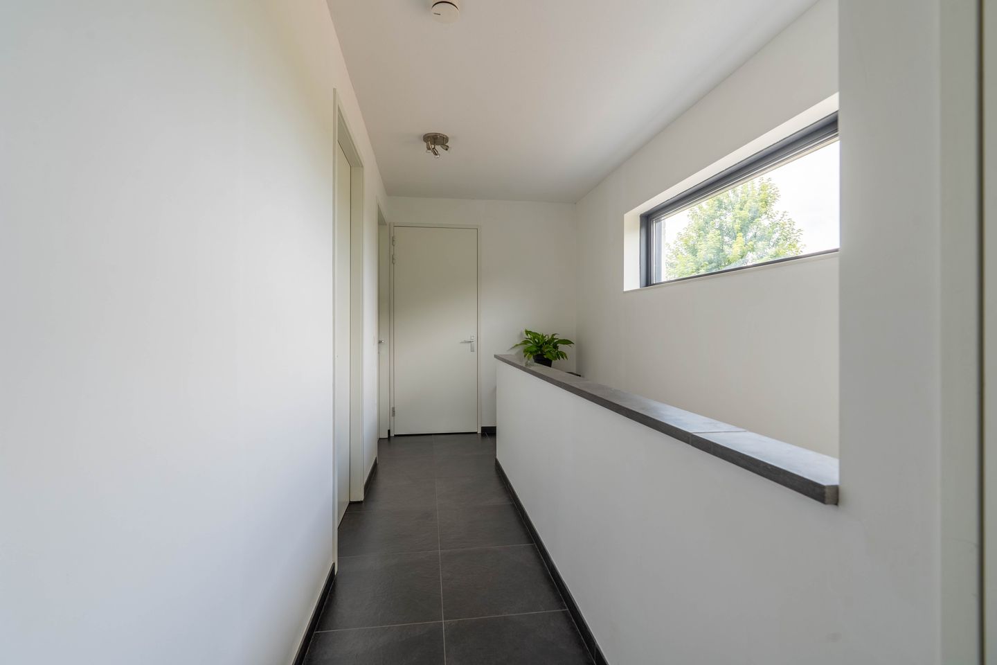 Foto 44 van Watersnip 3