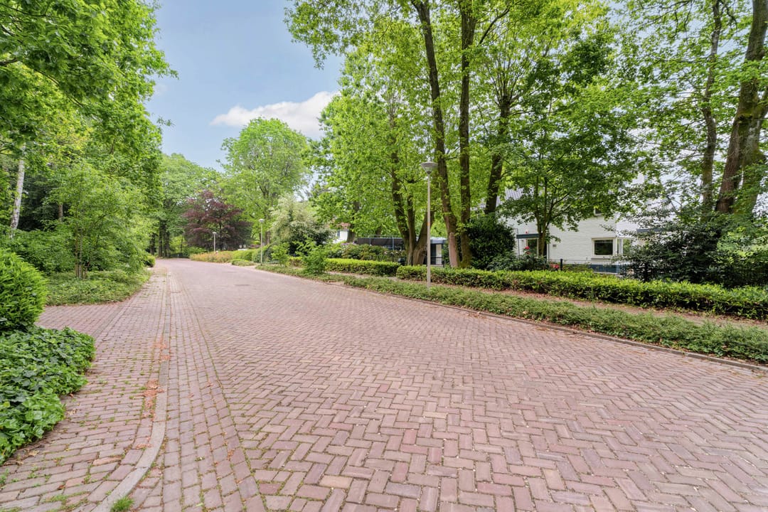 Photo 41 of Koning Davidlaan 14