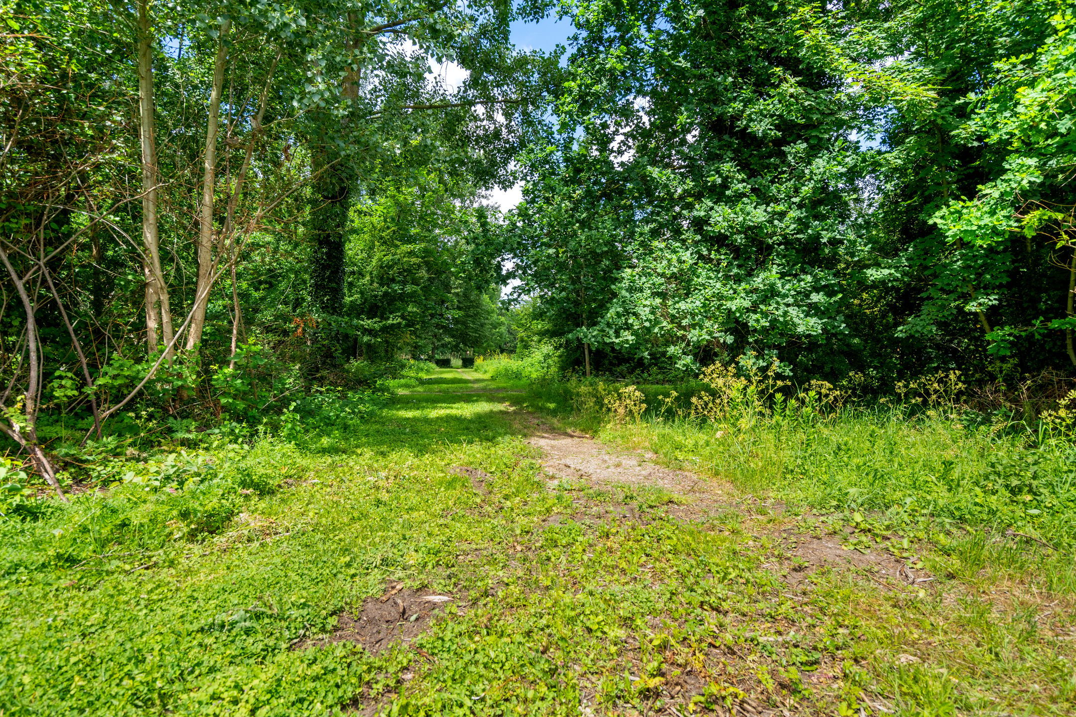 Photo 48 of Hoflanderweg 85