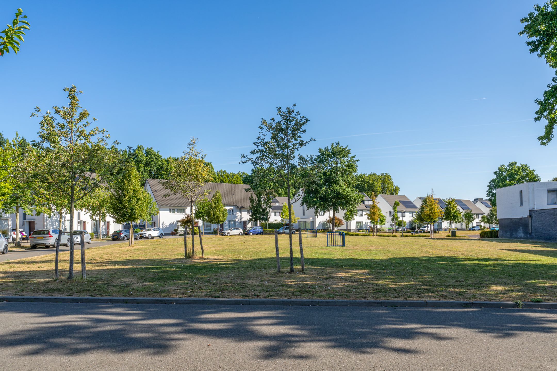 Photo 6 of Magnolia 33