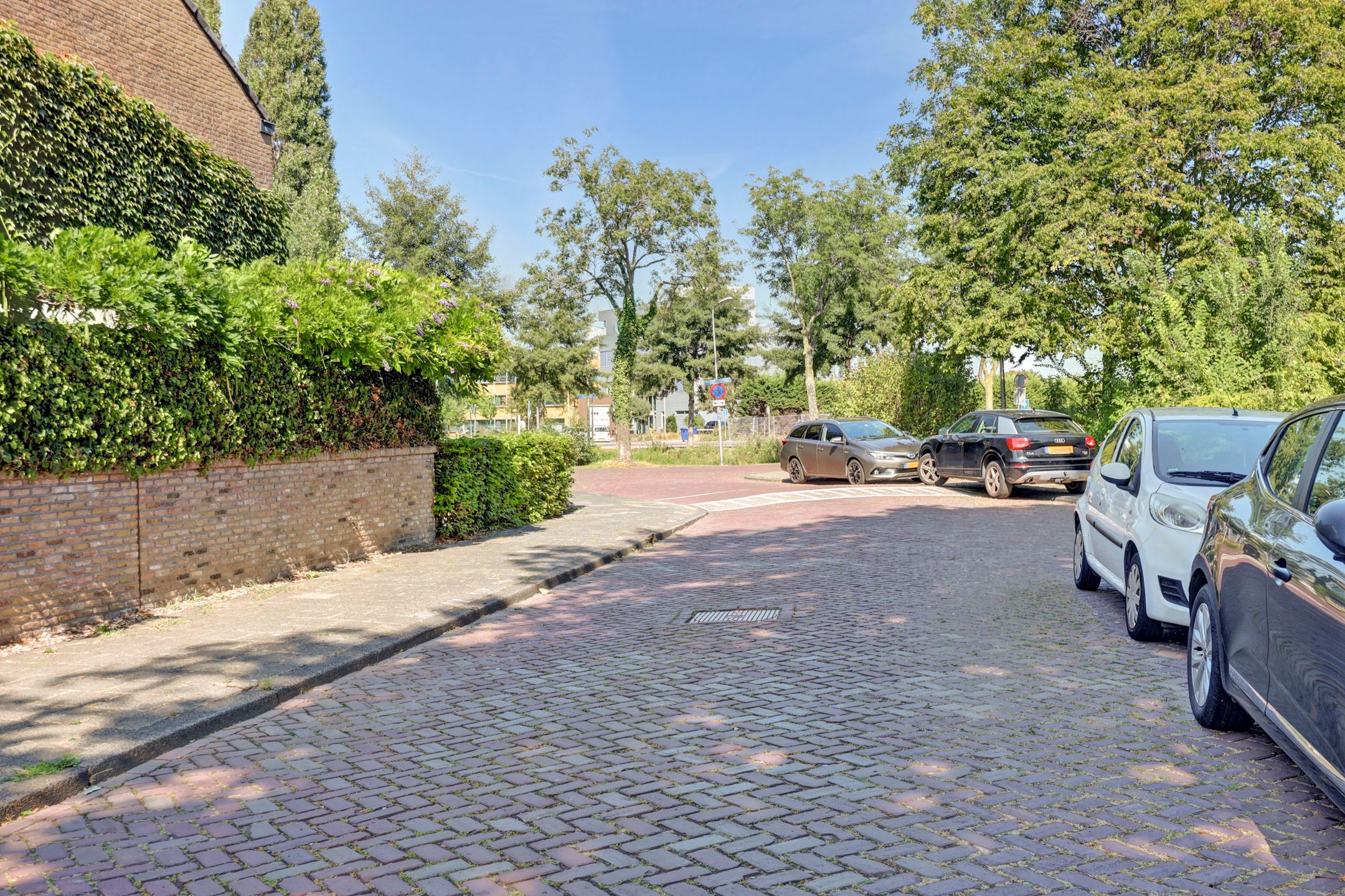 Foto 48 van Druivenstraat 9